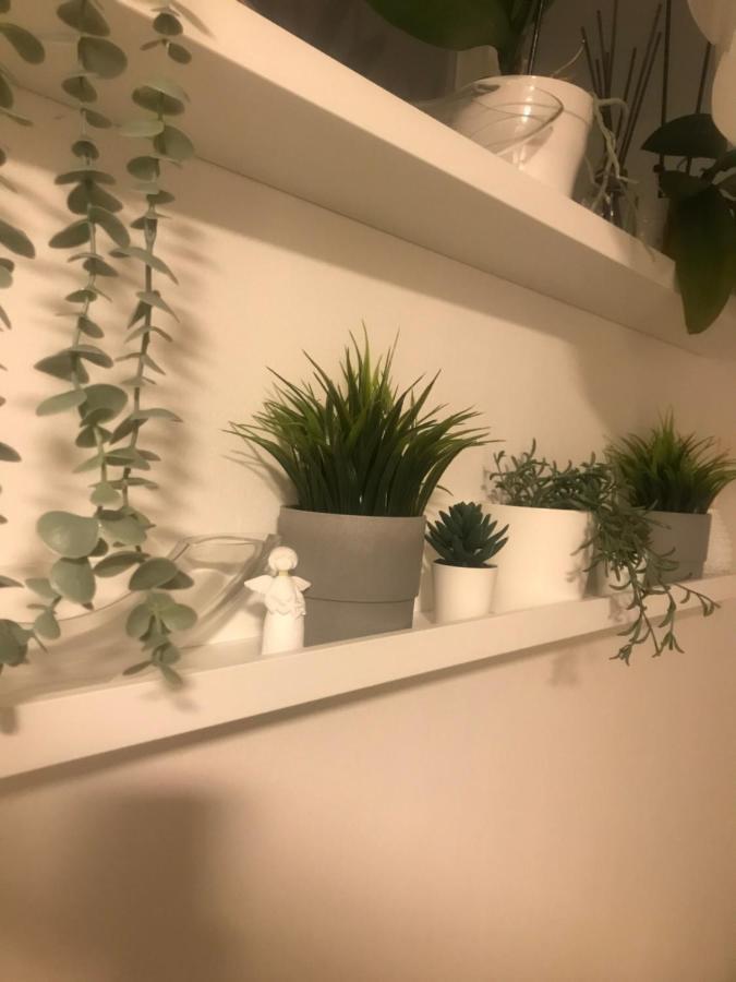 Apartman Vervis Varaždin 外观 照片